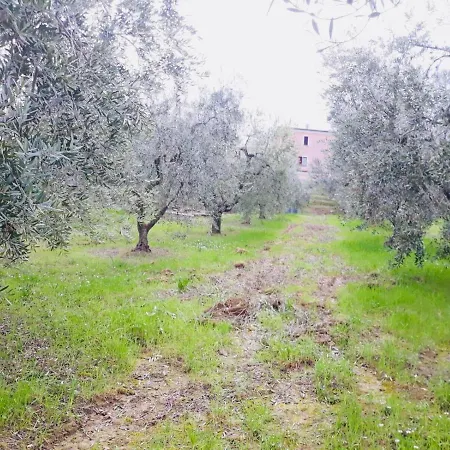 Bed & Breakfast Ellebi Montone (Abruzzo)