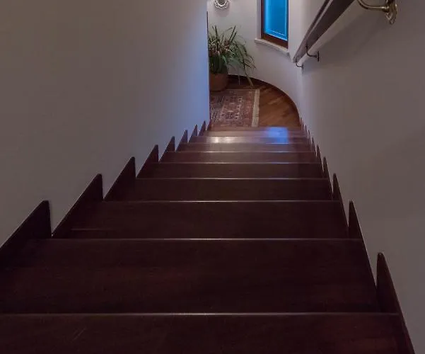 Ellebi Отель типа 