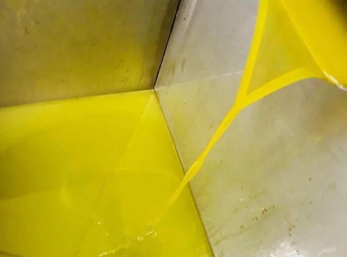 Ellebi Отель типа 