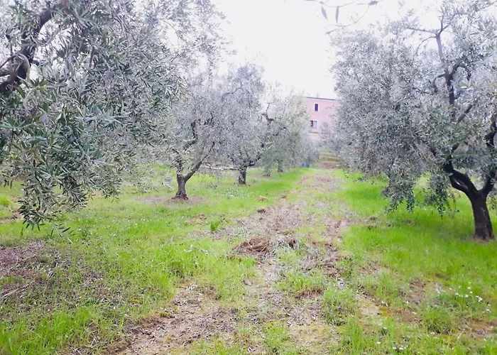 לינה וארוחת בוקר Ellebi Montone (Abruzzo)