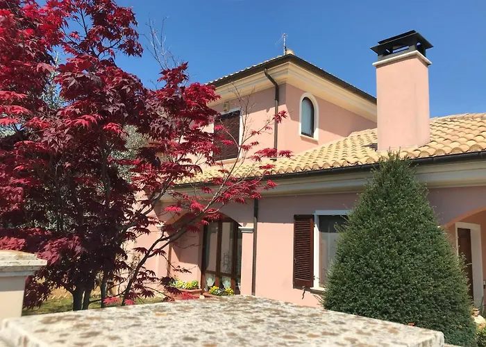 Ellebi Отель типа 